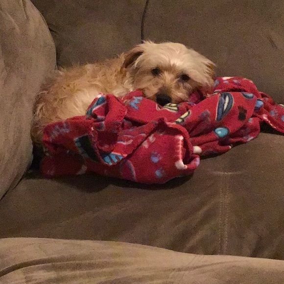 Meet your Posher, Jd - Picture 1 of 1